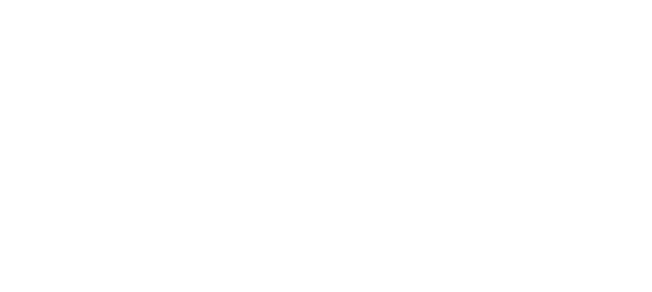 CNPNewton Portfolio
