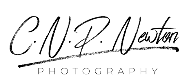 CNPNewton Portfolio